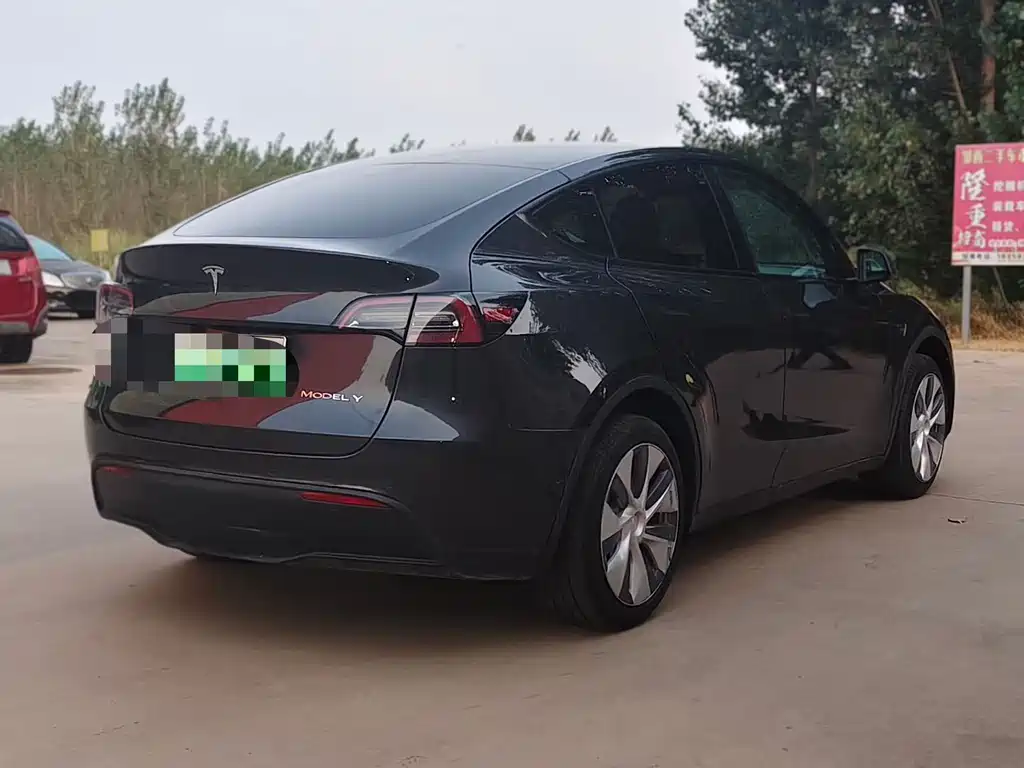 Tesla Model Y — фото 2