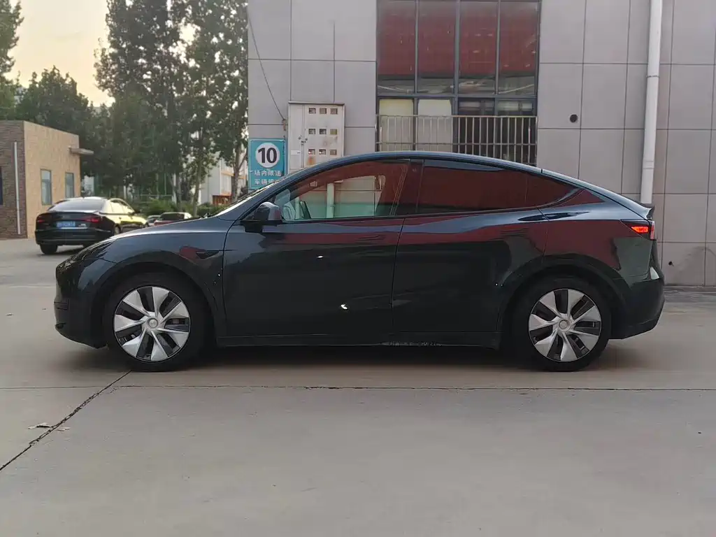 Tesla Model Y — фото 3