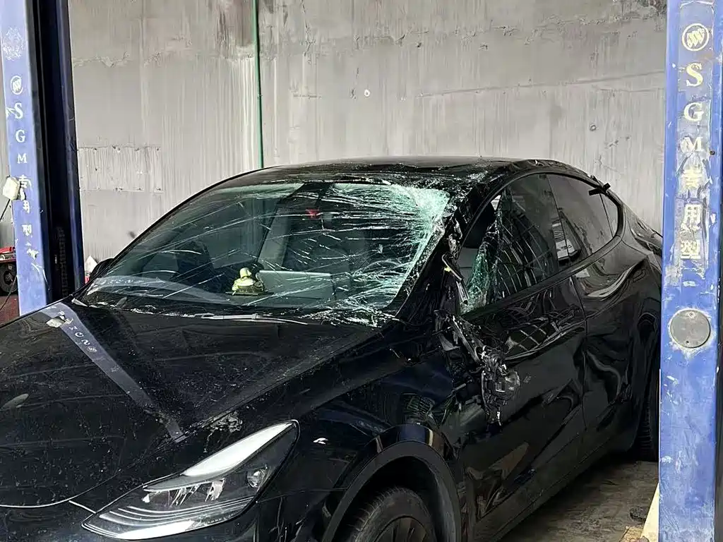 Tesla Model Y — фото 9