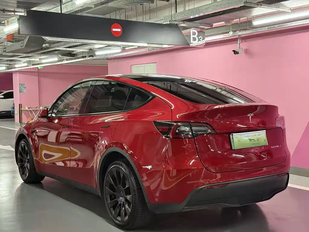 Tesla Model Y — фото 3