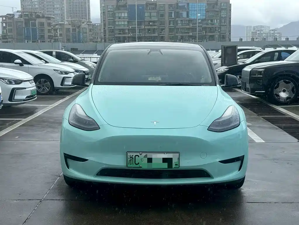 Tesla Model Y — фото 2