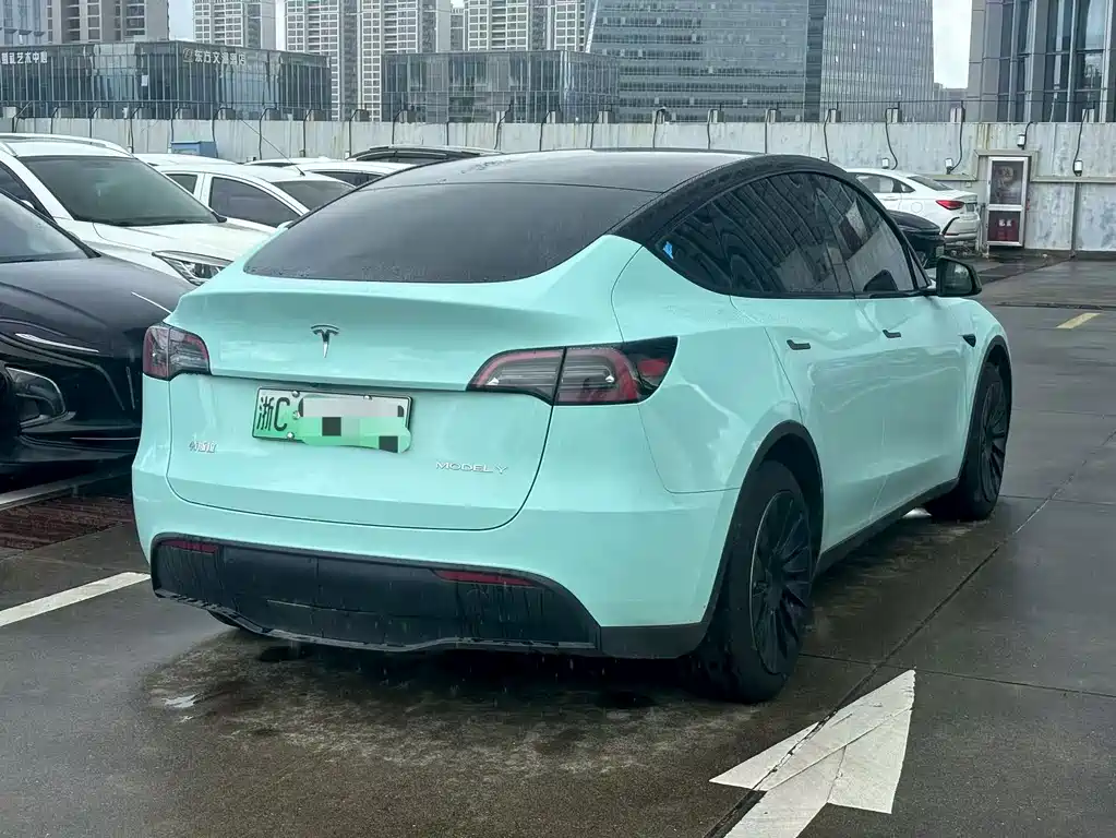 Tesla Model Y — фото 9