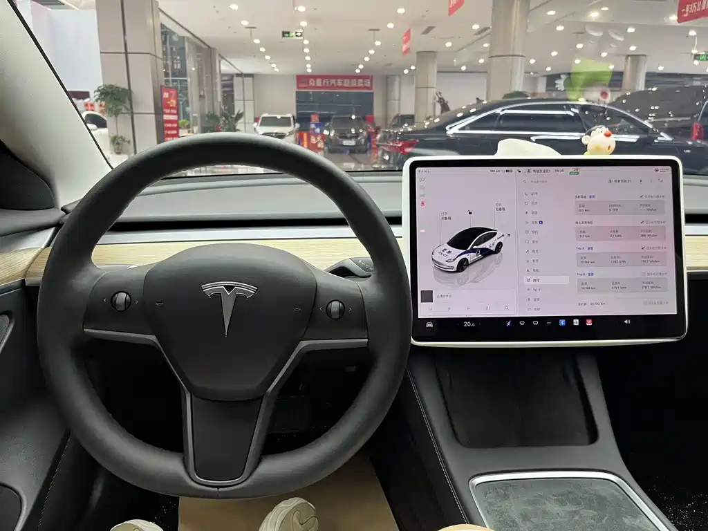 Tesla Model 3 — фото 19