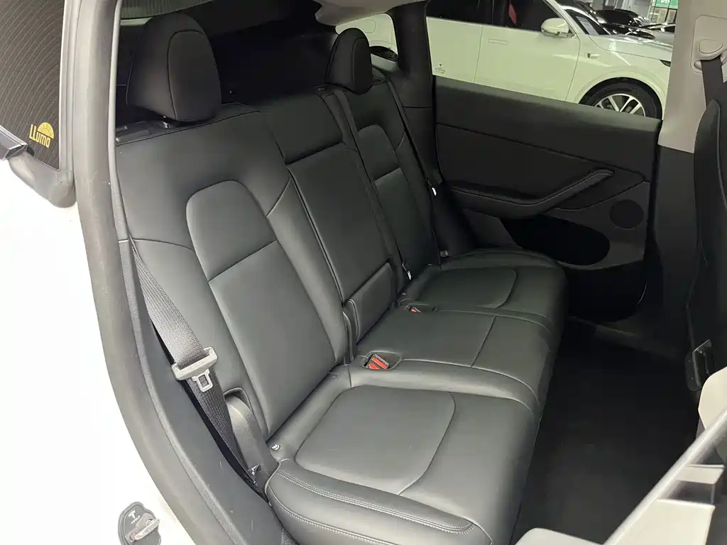 Tesla Model Y — фото 19