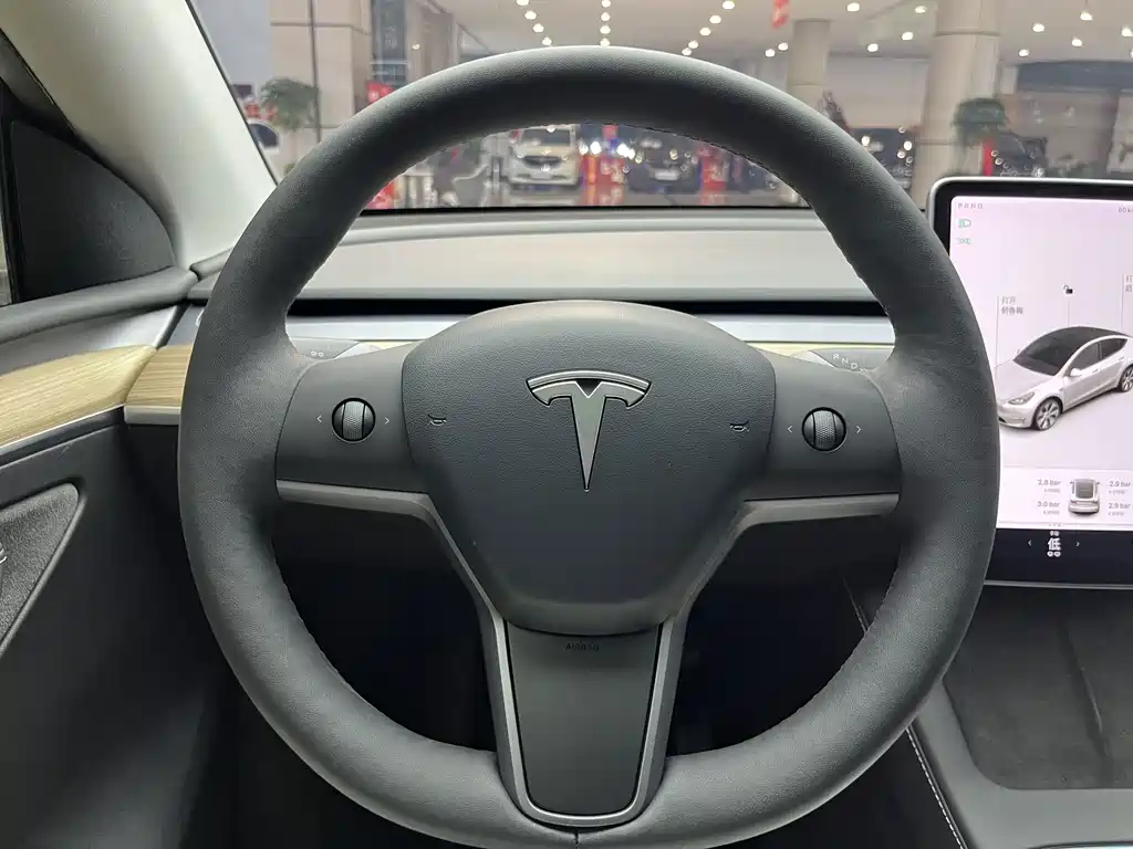 Tesla Model Y — фото 20