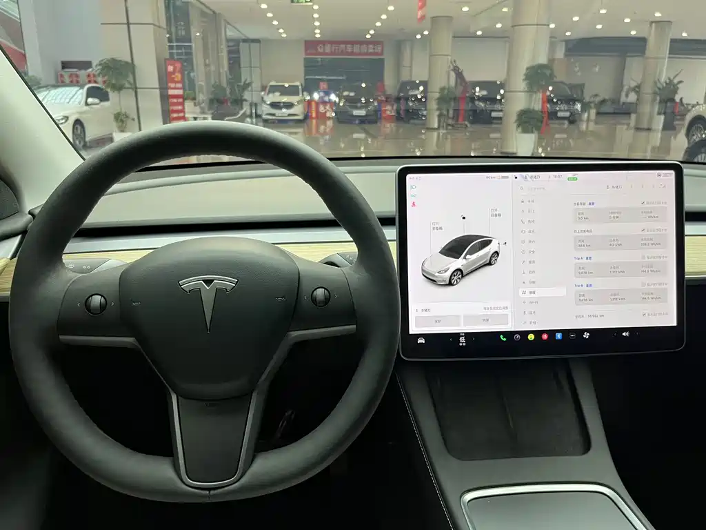 Tesla Model Y — фото 22