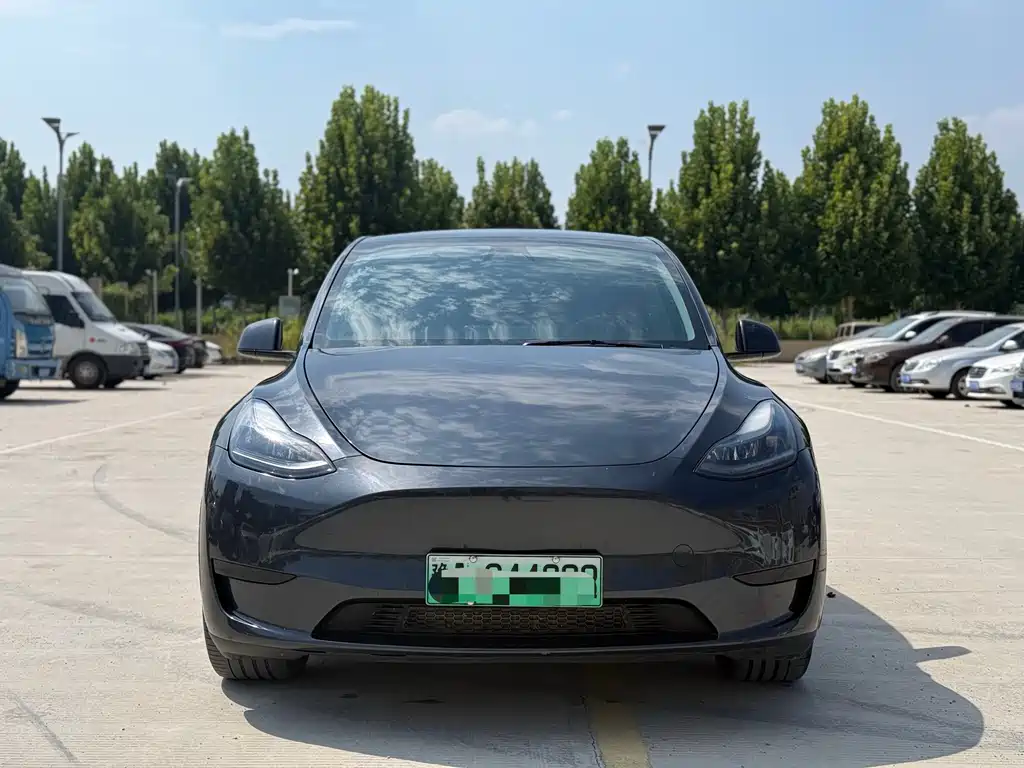 Tesla Model Y — фото 2