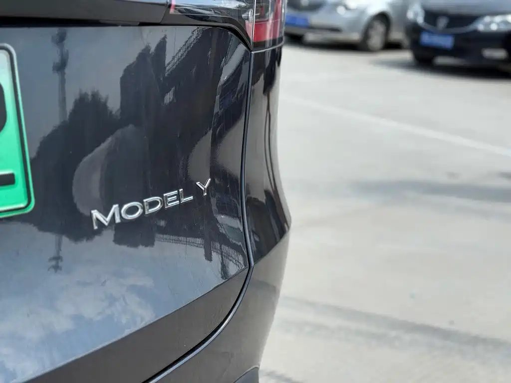 Tesla Model Y — фото 18