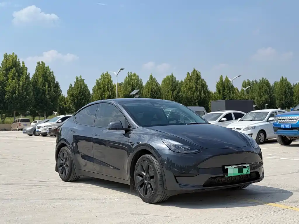 Tesla Model Y — фото 3
