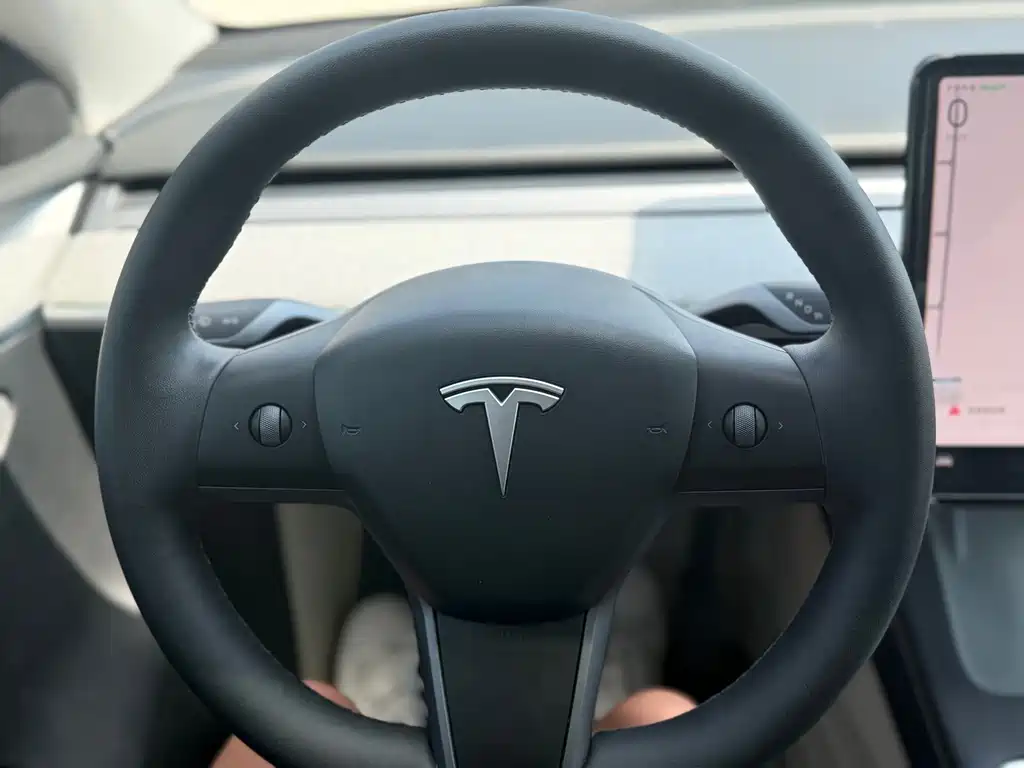 Tesla Model Y — фото 26