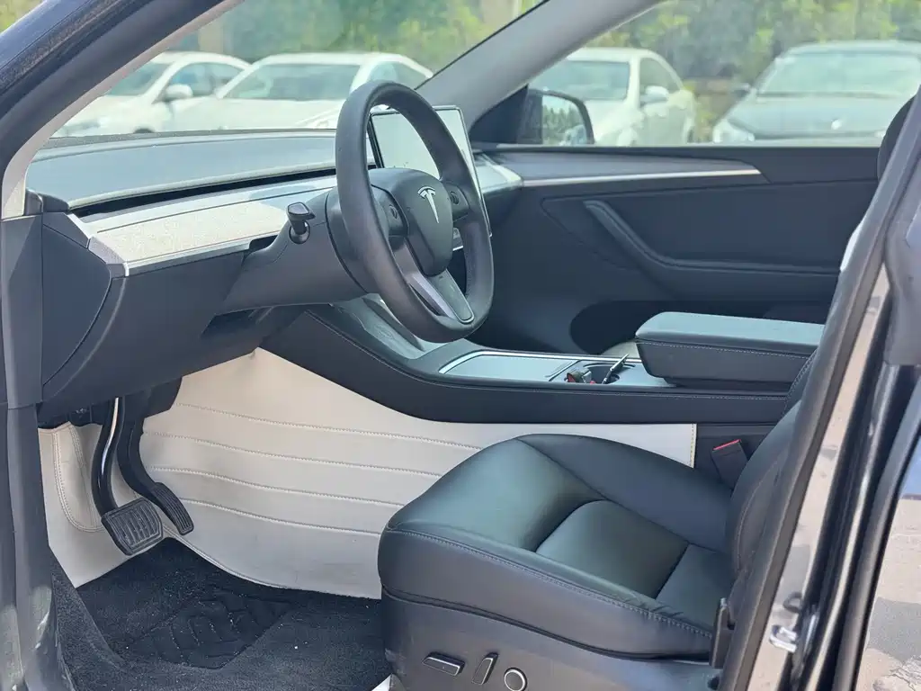 Tesla Model Y — фото 10