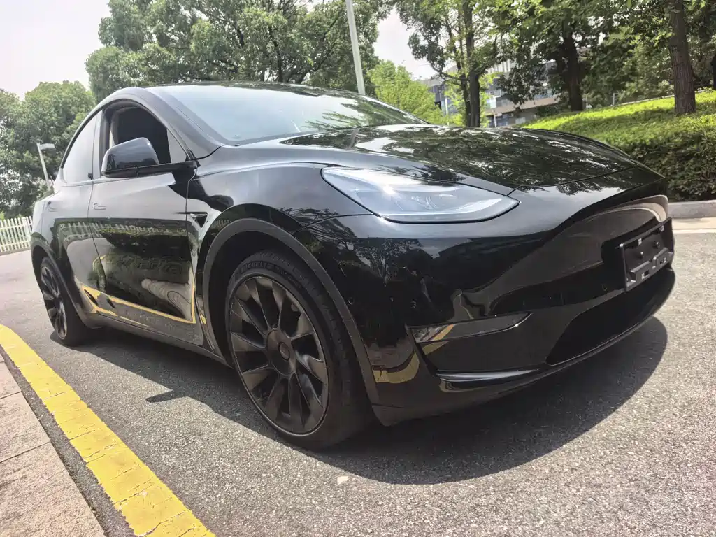 Tesla Model Y — фото 3