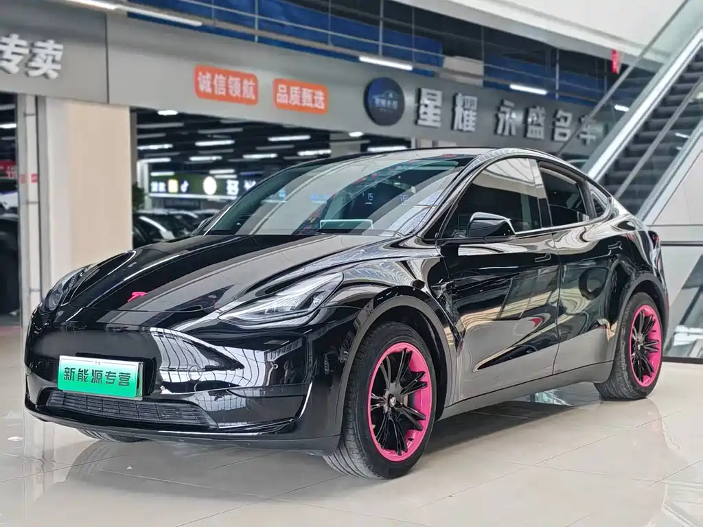 Tesla Model Y — фото 3