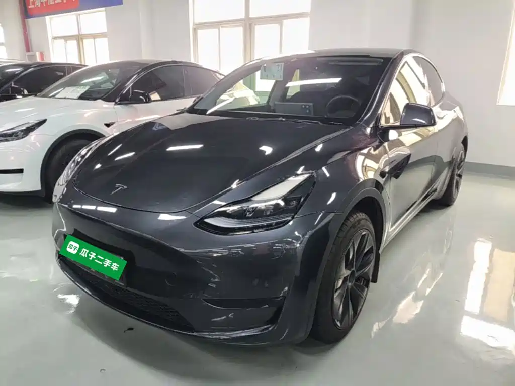 Tesla Model Y — фото 2