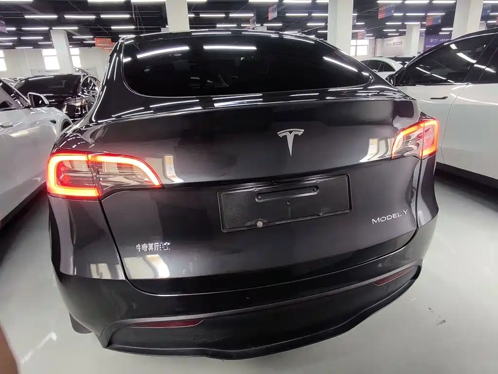 Tesla Model Y — фото 6