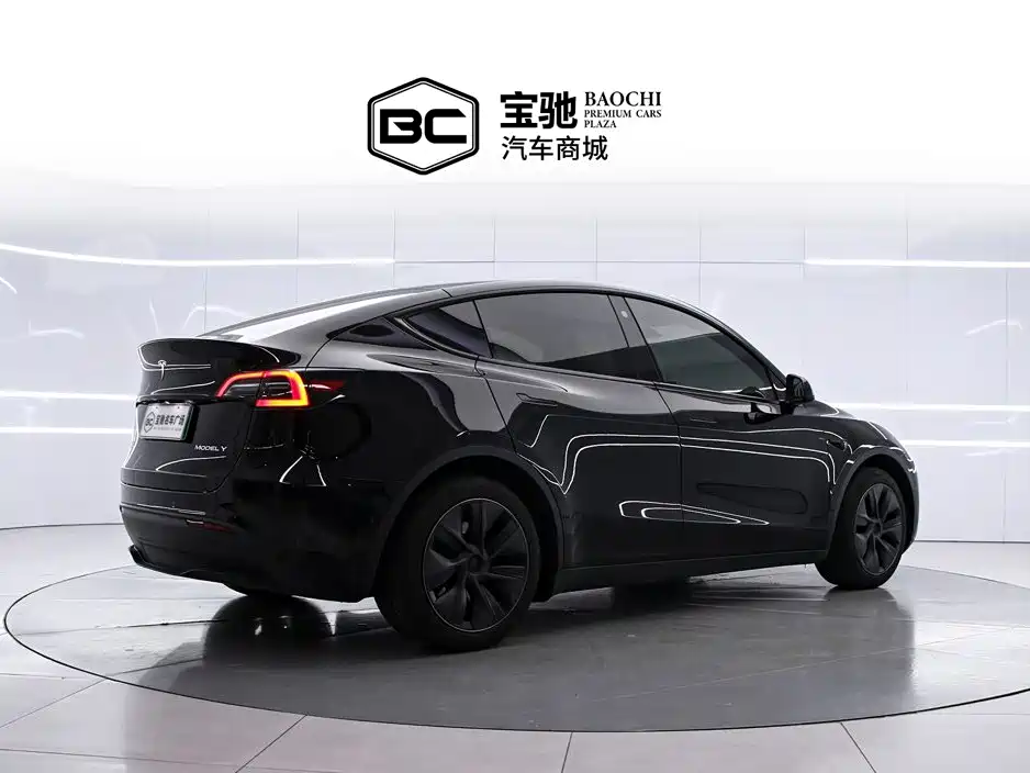 Tesla Model Y — фото 3