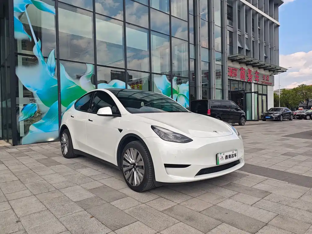 Tesla Model Y — фото 3