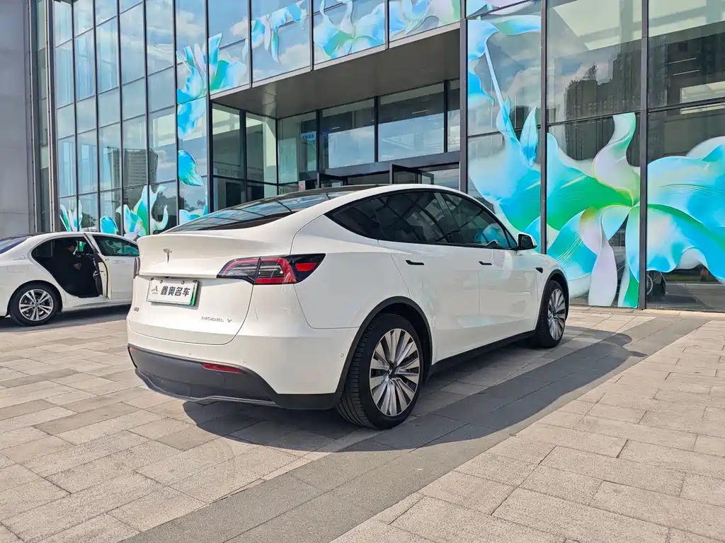 Tesla Model Y — фото 4