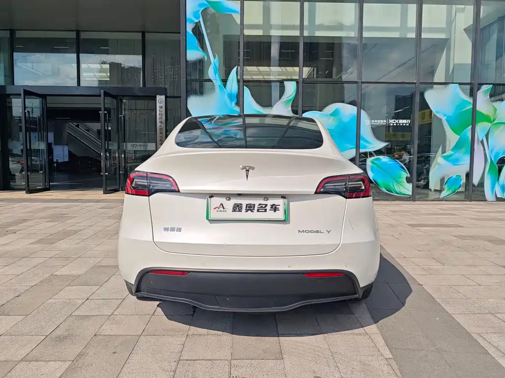 Tesla Model Y — фото 5