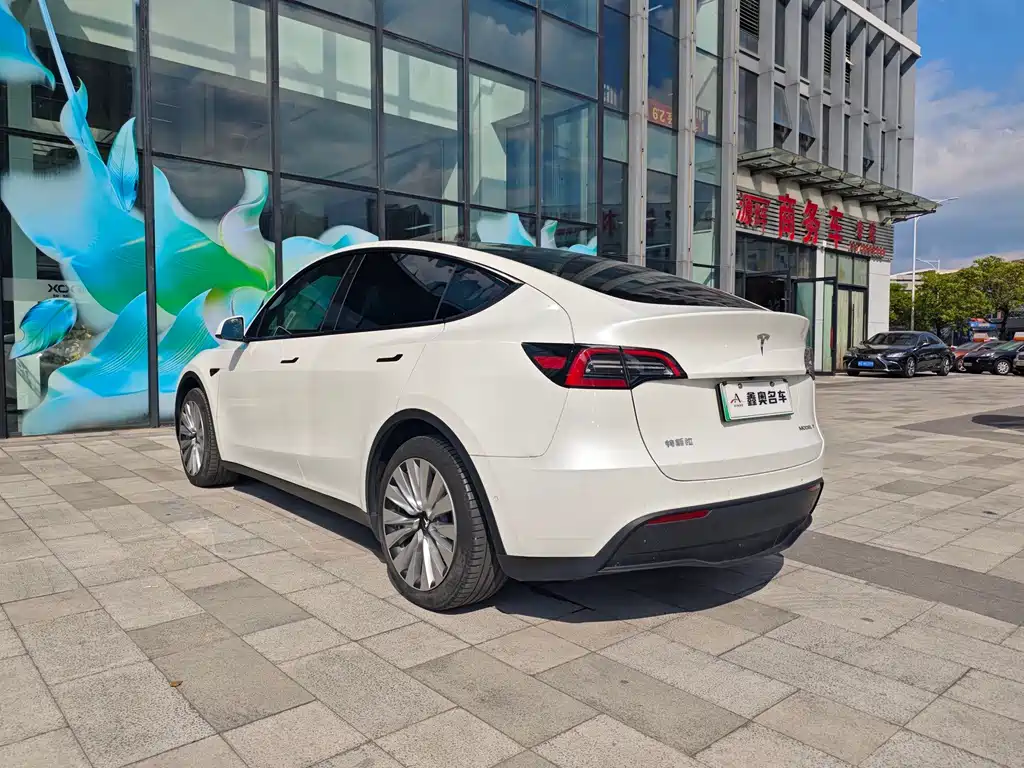 Tesla Model Y — фото 6