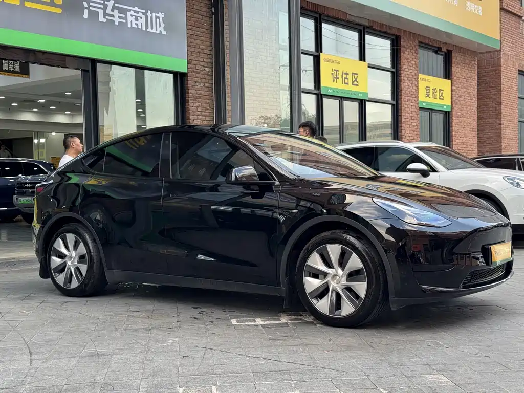 Tesla Model Y — фото 3
