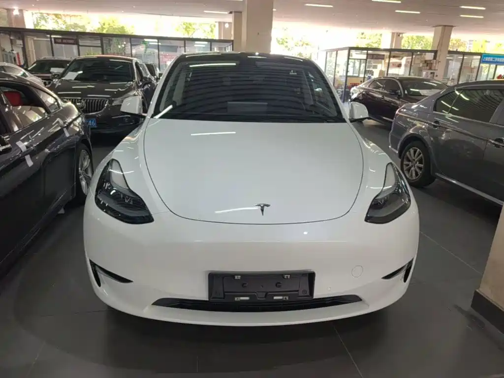 Tesla Model Y — фото 3