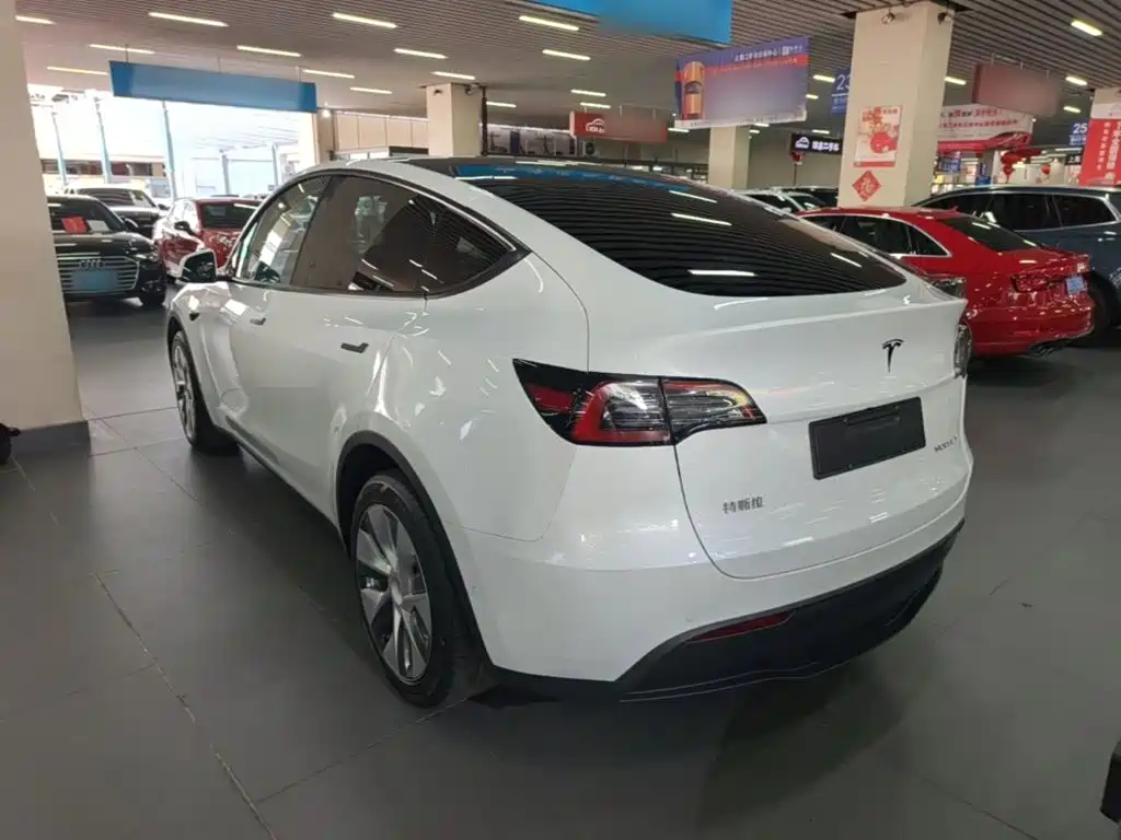 Tesla Model Y — фото 5