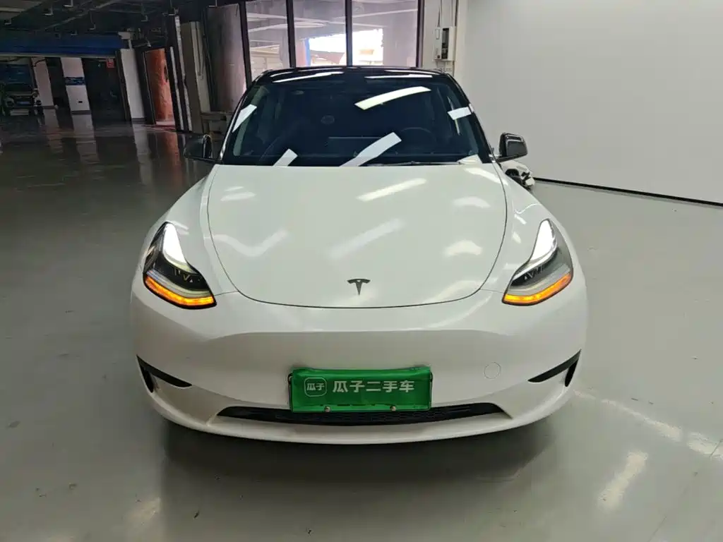 Tesla Model Y — фото 3