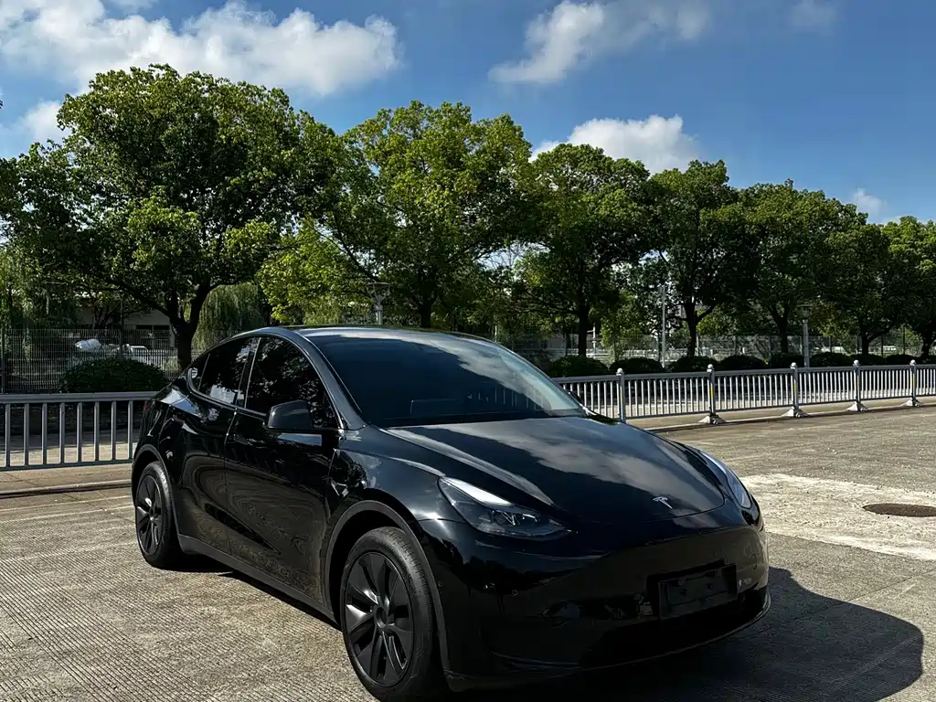 Tesla Model Y — фото 2