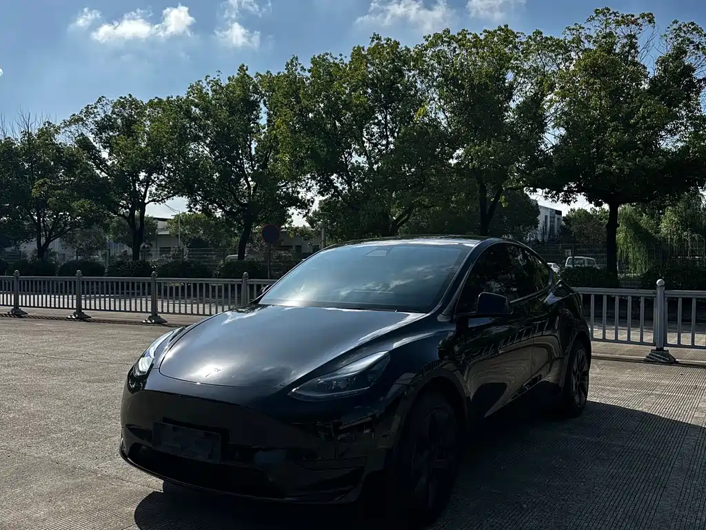 Tesla Model Y — фото 3