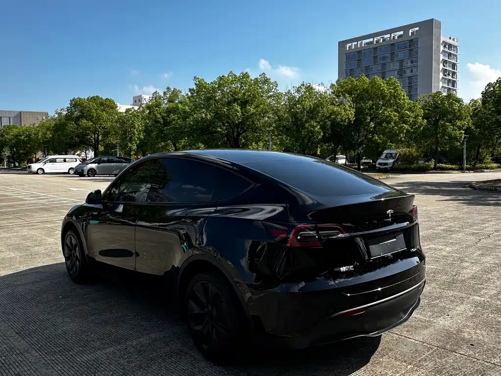 Tesla Model Y — фото 4