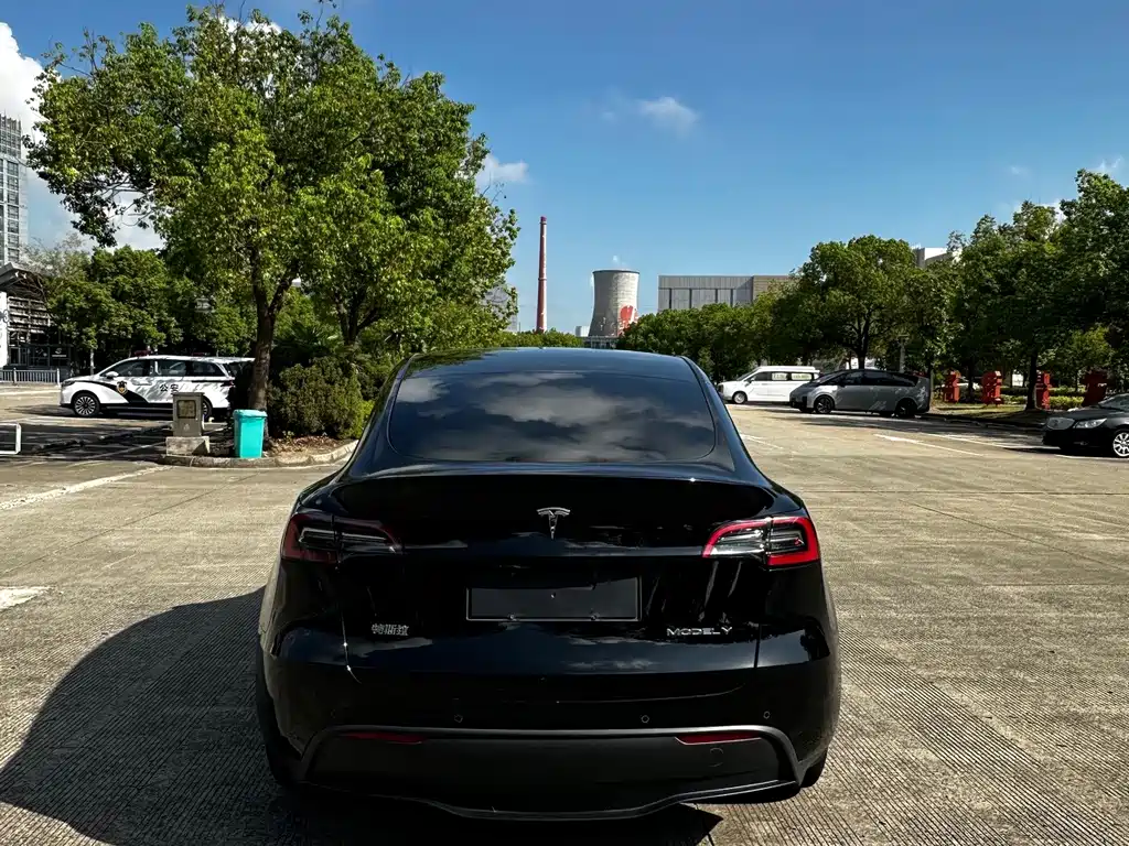 Tesla Model Y — фото 5