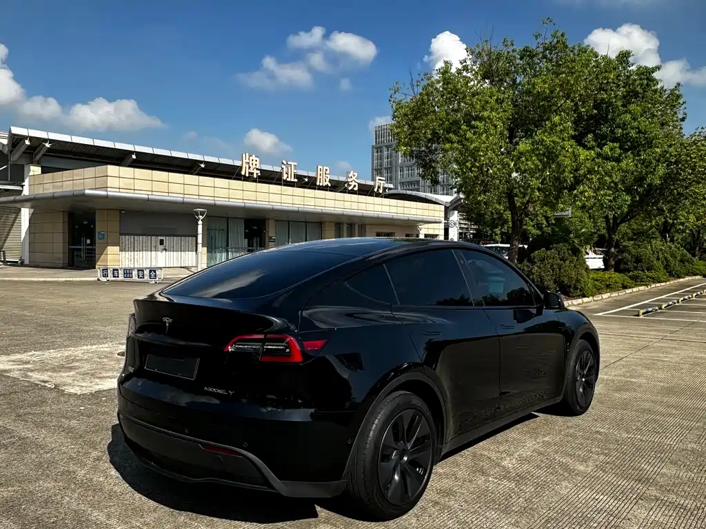 Tesla Model Y — фото 6