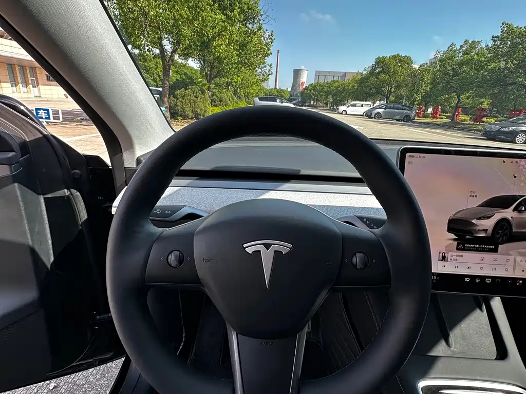Tesla Model Y — фото 10