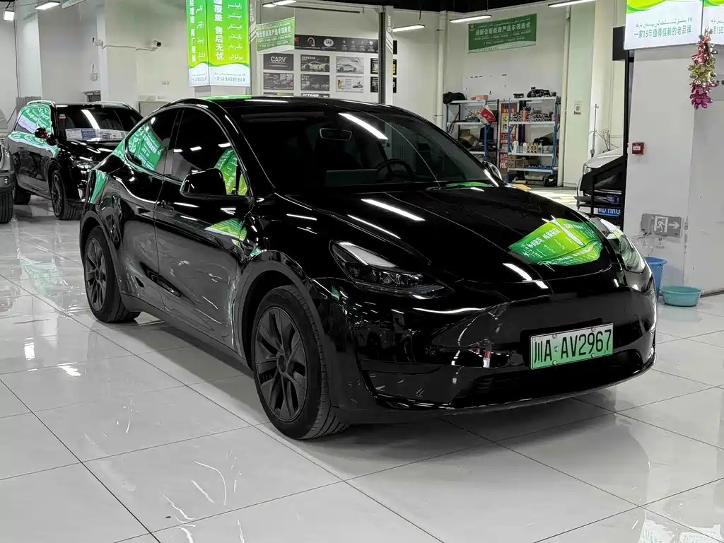 Tesla Model Y — фото 3