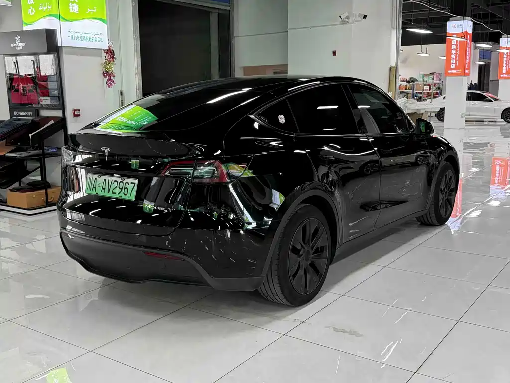 Tesla Model Y — фото 9