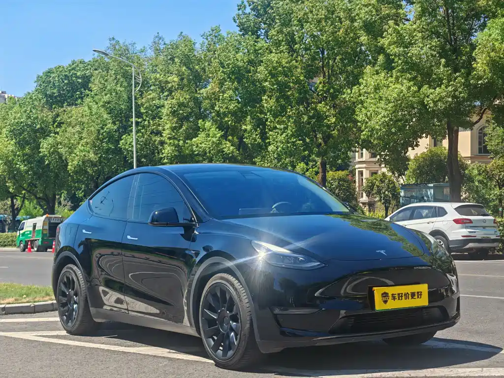 Tesla Model Y — фото 2