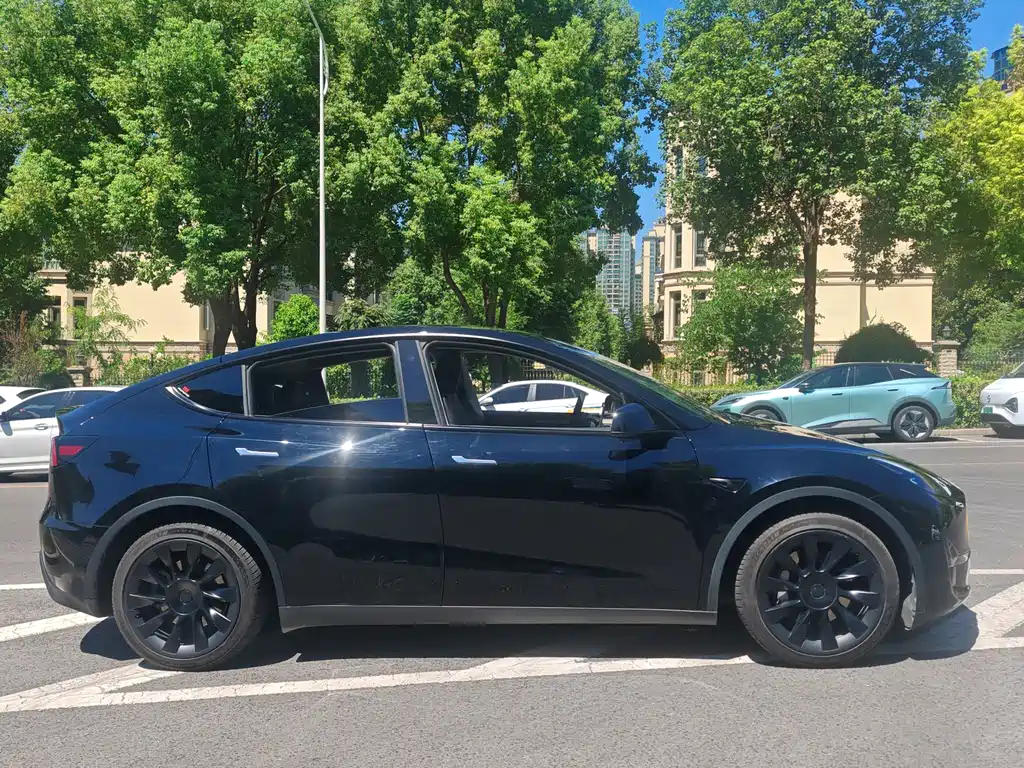 Tesla Model Y — фото 18