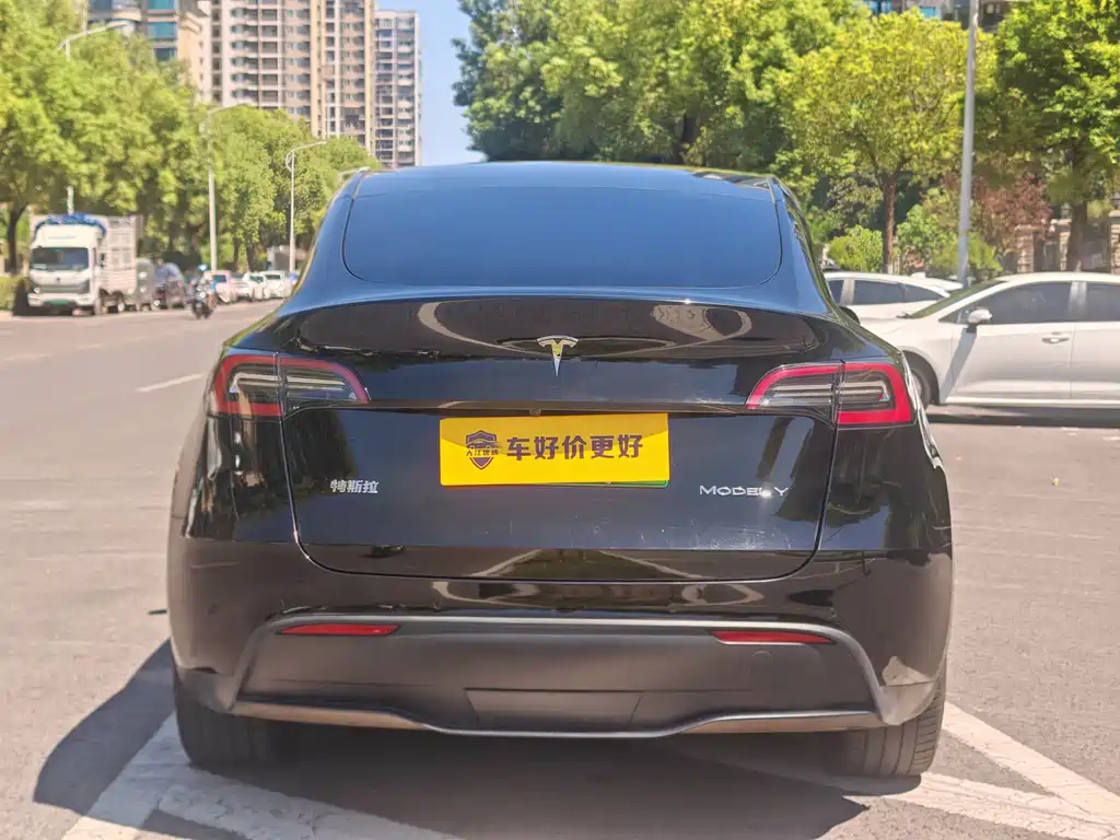 Tesla Model Y — фото 5