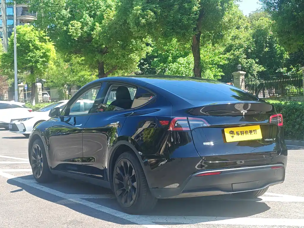 Tesla Model Y — фото 9