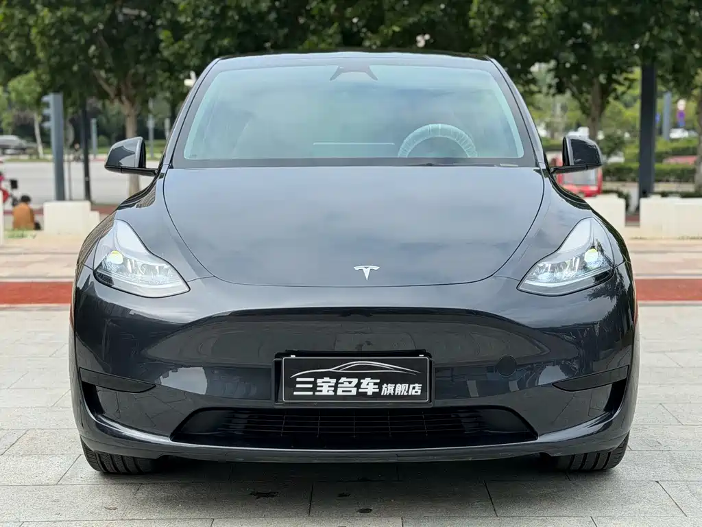 Tesla Model Y — фото 2