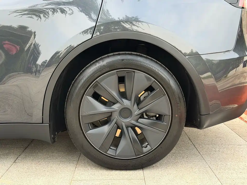 Tesla Model Y — фото 11