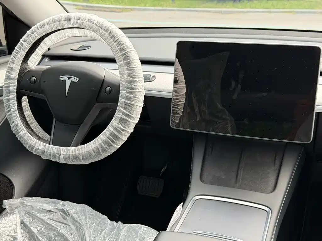 Tesla Model Y — фото 18