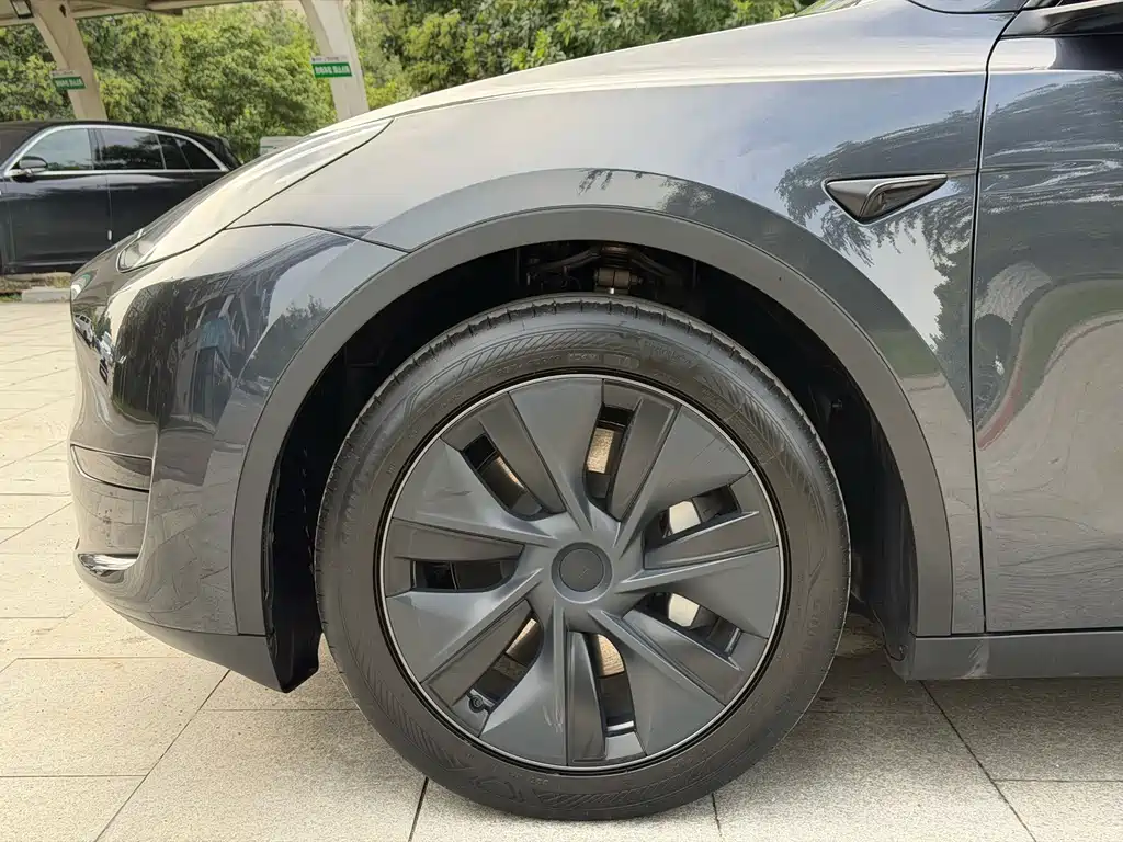Tesla Model Y — фото 10