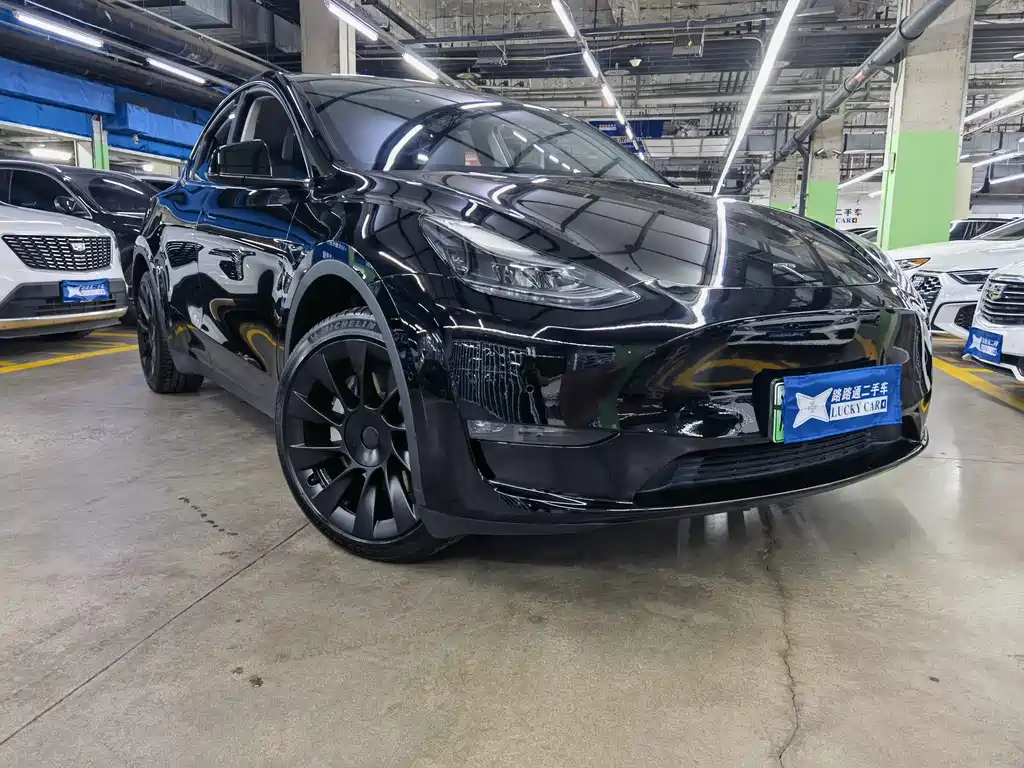 Tesla Model Y — фото 3