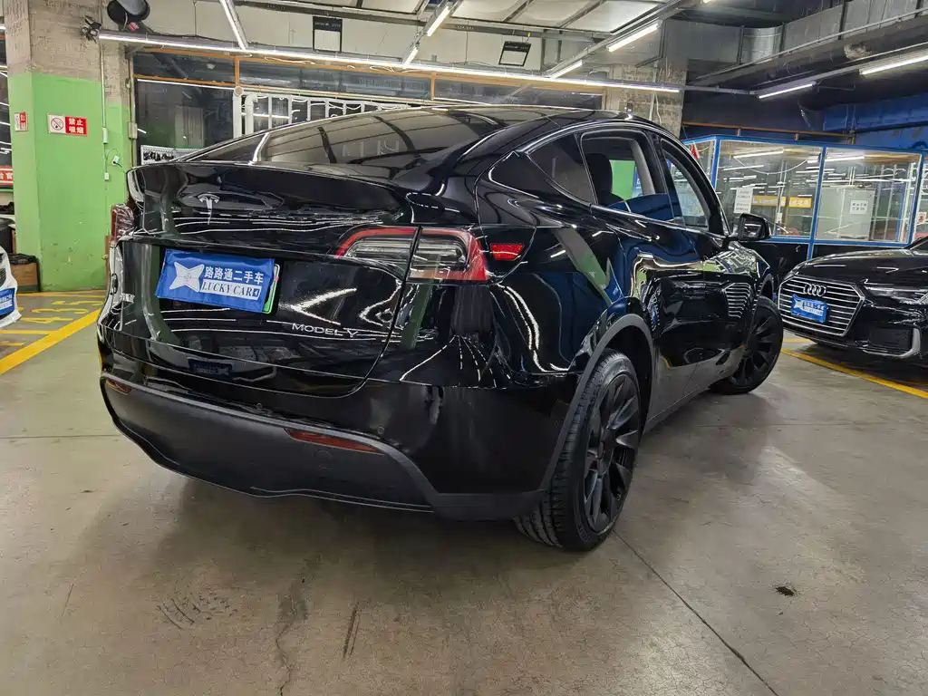 Tesla Model Y — фото 6