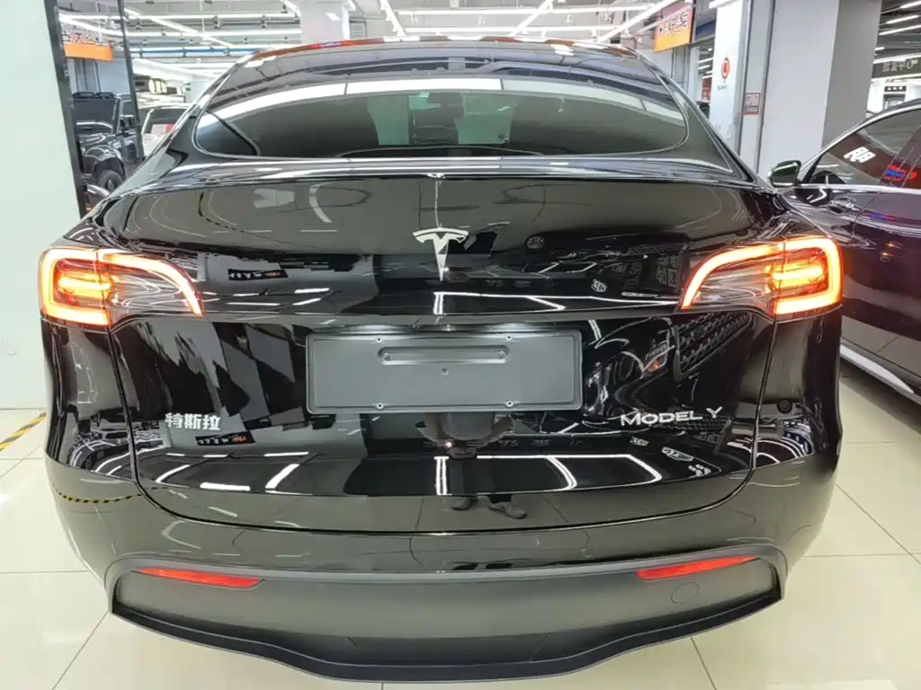 Tesla Model Y — фото 6
