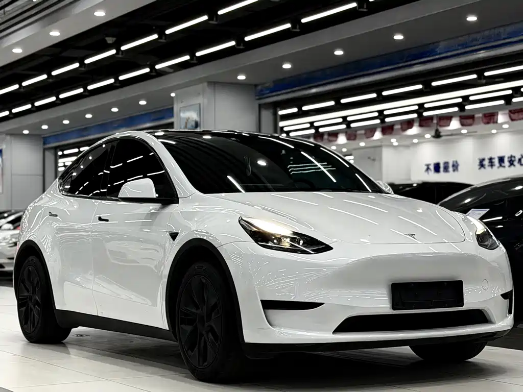 Tesla Model Y — фото 3