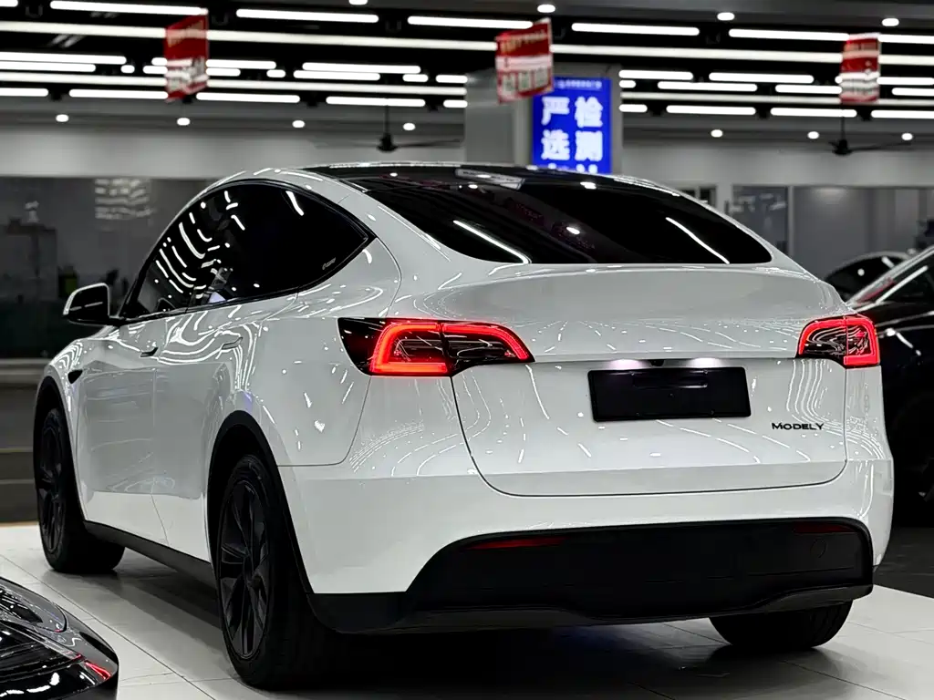 Tesla Model Y — фото 4