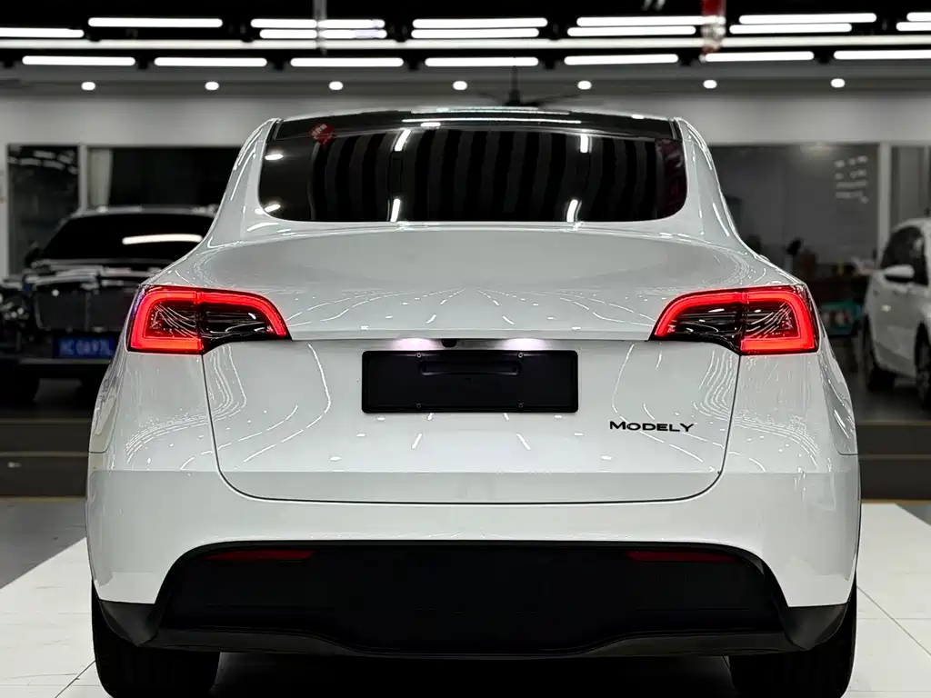 Tesla Model Y — фото 5